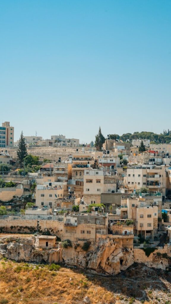 Palestine, State of