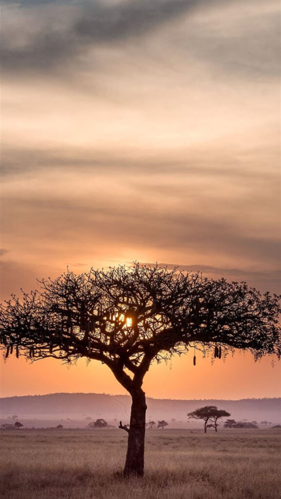 Tanzania
