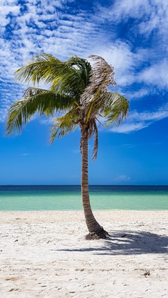 Caribbean Islands